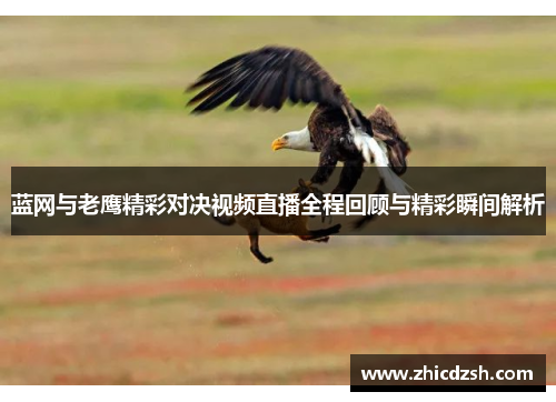 蓝网与老鹰精彩对决视频直播全程回顾与精彩瞬间解析